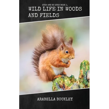 Wild Life in Woods and Fields