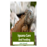 Iguana Care And Feeding