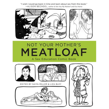 Not Your Mother's Meatloaf: A Sex Education Comic Book