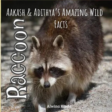 Raccoon: Aakash and Adithya's Wild Facts