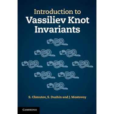 Introduction to Vassiliev Knot Invariants