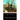 The House on the Borderland