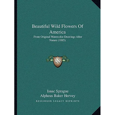 Beautiful Wild Flowers Of America: From Original Watercolor Drawings After Nature (1885)