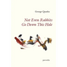 Not Even Rabbits Go Down This Hole: preverbs