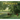 Tennessee Impressions