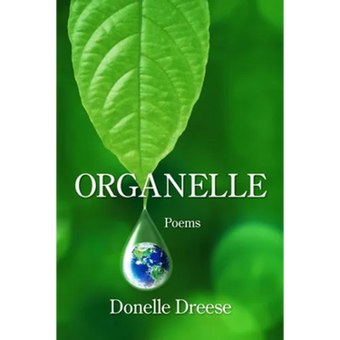 Organelle