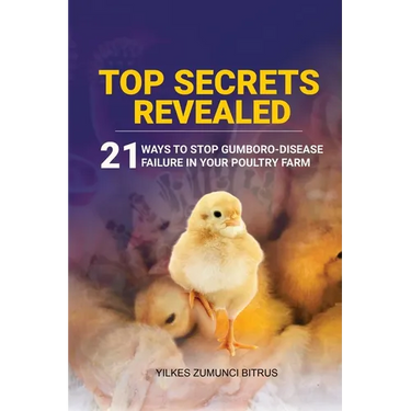 Top Secrets Revealed: 21 Ways to stop Gumboro desease failure in your Poultry farm