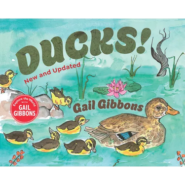 Ducks! (New & Updated)
