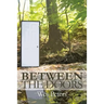 Between the Doors
