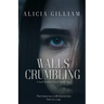 Walls Crumbling: A Seth Browne Novel, Book Two