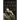 Fidel Castro: My Life: A Spoken Autobiography