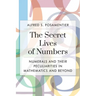 Secret Lives of Numbers: Numerals and Their Peculiarities in Mathematics and Beyond