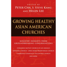 Growing Healthy Asian American Churches: Ministry Insights from Groundbreaking Congregations