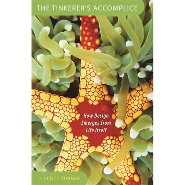 Tinkerer's Accomplice: How Design Emerges from Life Itself