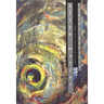 Alien Matter: New and Selected Poems