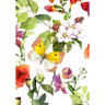 UNDATED DAILY PLANNER & BUSINESS ORGANIZER (Pink Butterfly)