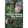 Acorns Among the Grass