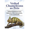 Veiled Chameleons as Pets. Veiled Chameleon Care, Behavior, Diet, Interaction, Costs and Health.