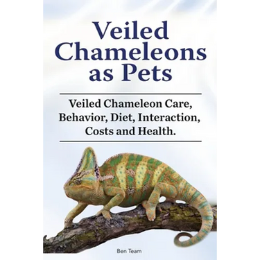 Veiled Chameleons as Pets. Veiled Chameleon Care, Behavior, Diet, Interaction, Costs and Health.