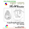 First Steps: NeoWhimsies: NeoPopRealism Ink Drawing for Beginners