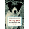 A Dog Year: Twelve Months, Four Dogs, and Me