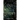 End of the Forest