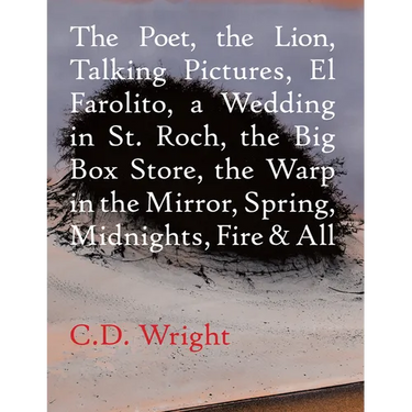 The Poet, the Lion, Talking Pictures, El Farolito, a Wedding in St. Roch, the Big Box Store, the Warp in the Mirror, Spring, Midnights, Fire & All