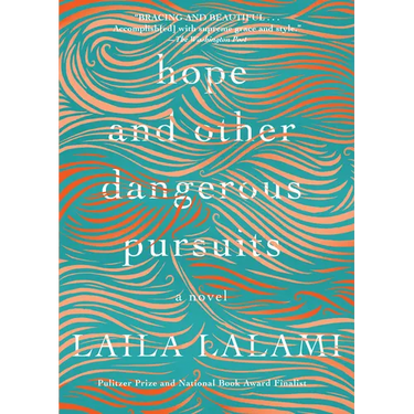 Hope and Other Dangerous Pursuits