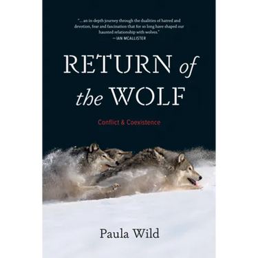 Return of the Wolf: Conflict and Coexistence