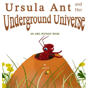 Ursula Ant and Her Underground Universe
