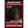 Chocolate Labrador Training Book for Dogs and Puppies by BoneUp Dog Training: Are You Ready to Bone Up? Easy Steps * Quick Results Chocolate Labrador