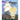 The Beginning of Lies: Book 1