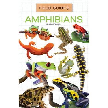 Amphibians