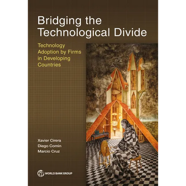 Bridging the Technological Divide: Technology Adoption by Firms in Developing Countries