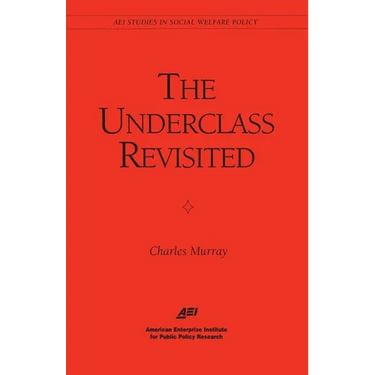 The Underclass Revisited