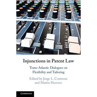 Injunctions in Patent Law: Trans-Atlantic Dialogues on Flexibility and Tailoring