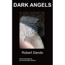 Dark Angels: a story about a mental hospital