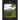 Litplan Teacher Pack: Hatchet