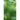 The Energy-based Dimension: Introduced on the Example of the Fifth Dimension