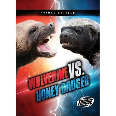 Wolverine vs. Honey Badger