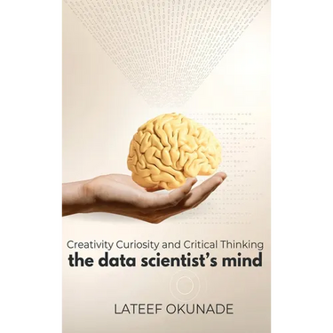 The Data Scientist's Mind: Creativity Curiosity and Critical Thinking