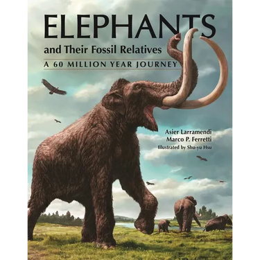 Elephants and Their Fossil Relatives: A 60 Million Year Journey