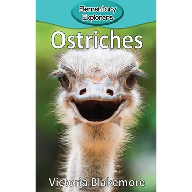 Ostriches