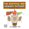 The Digestive and Urinary Systems