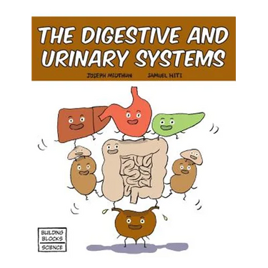 The Digestive and Urinary Systems