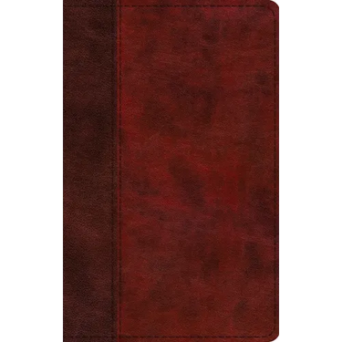 ESV Large Print Thinline Bible, Red Letter (Trutone, Burgundy/Red, Timeless Design)
