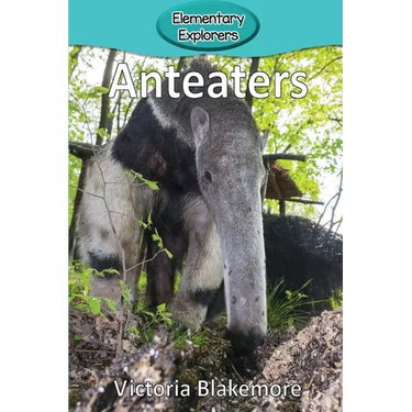 Anteaters