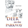 Deer on the Parkway
