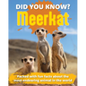 Did You Know? Meerkat: Packed with Fun Facts about the Most Endearing Animal in the World