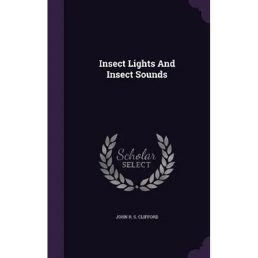Insect Lights And Insect Sounds